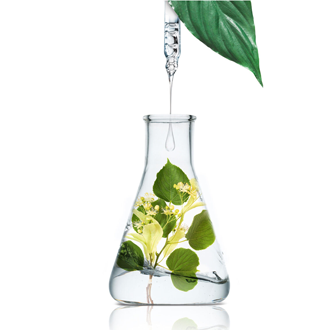 Private Label Rowan Recherche